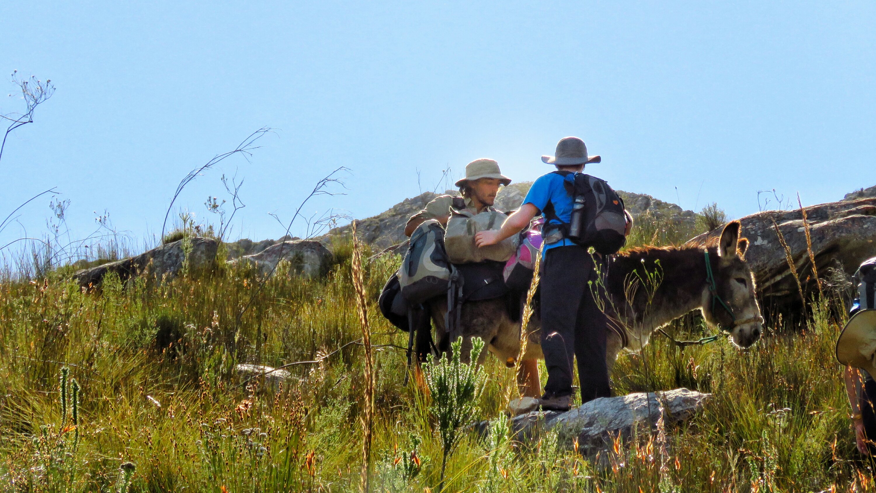 Resting and repacking 